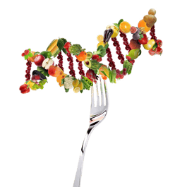 DNA-Fork